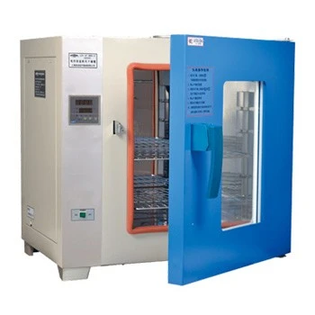 Electric Blast Drying Oven